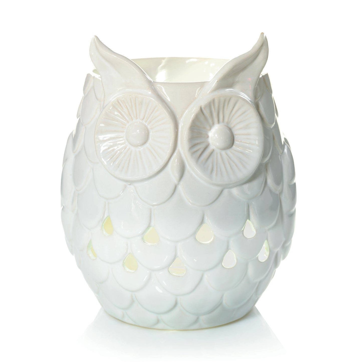 Owl (S1ZUY)