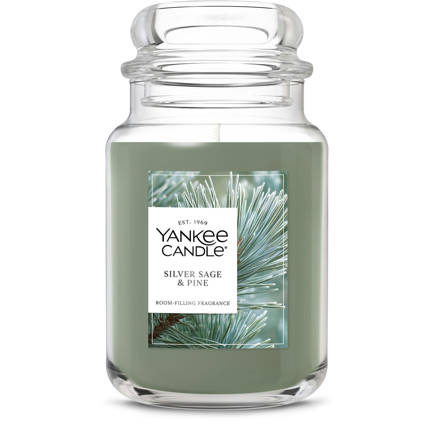 Silver Sage & Pine (S1YXB)