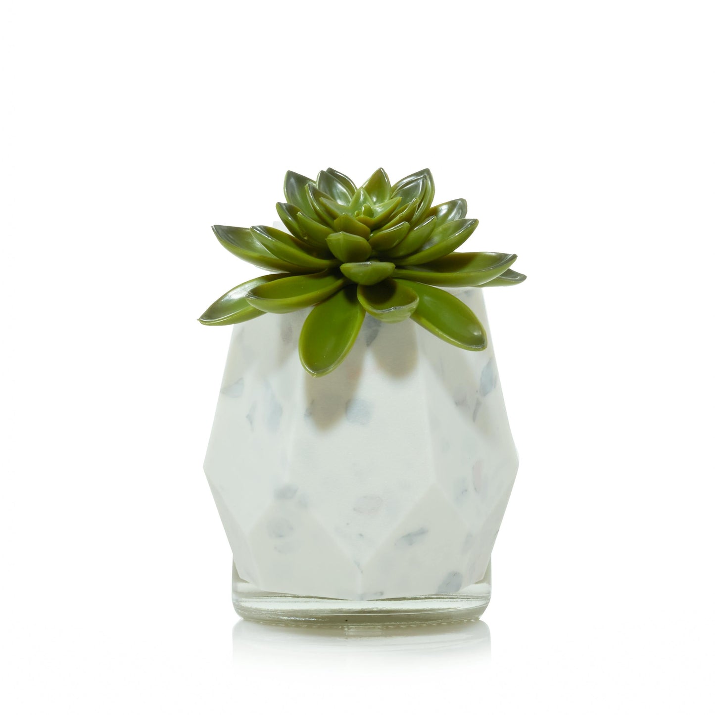Faceted Succulent ScentPlug® Diffuser with Light (S1D4X)