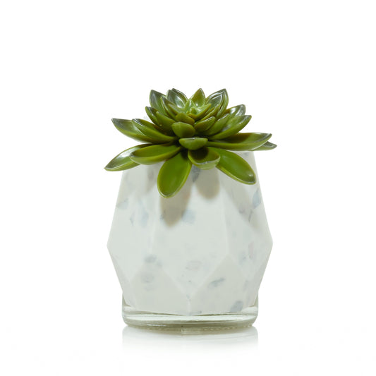 Faceted Succulent ScentPlug® Diffuser with Light (S1D4X)